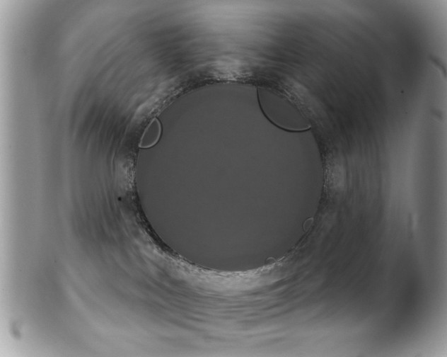 X0000102240043200807251309