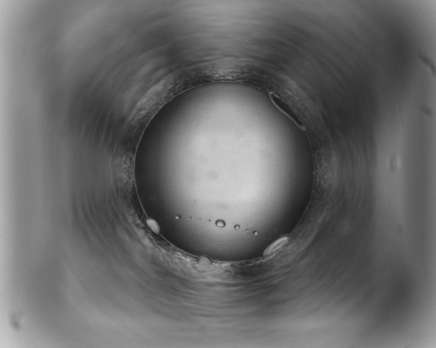 X0000102240044200807251309