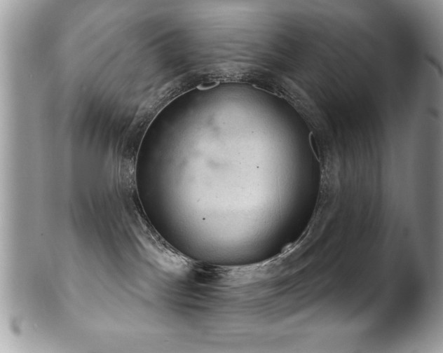 X0000102240045200807251309