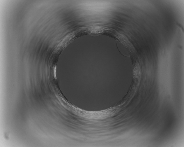 X0000102240046200807251309