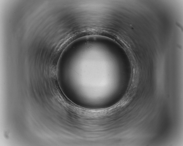 X0000102240048200807251309