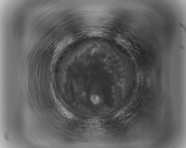 X0000102240049200807251308