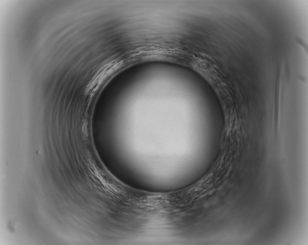 X0000102240050200807251308