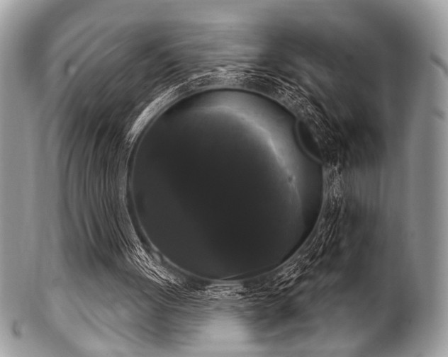 X0000102240051200807251308