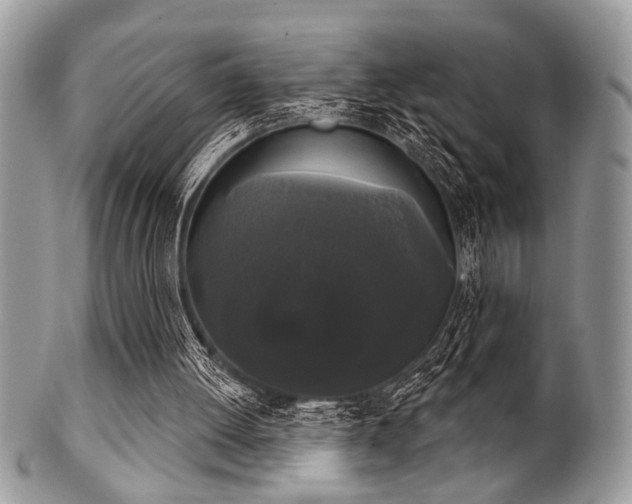 X0000102240052200807251308