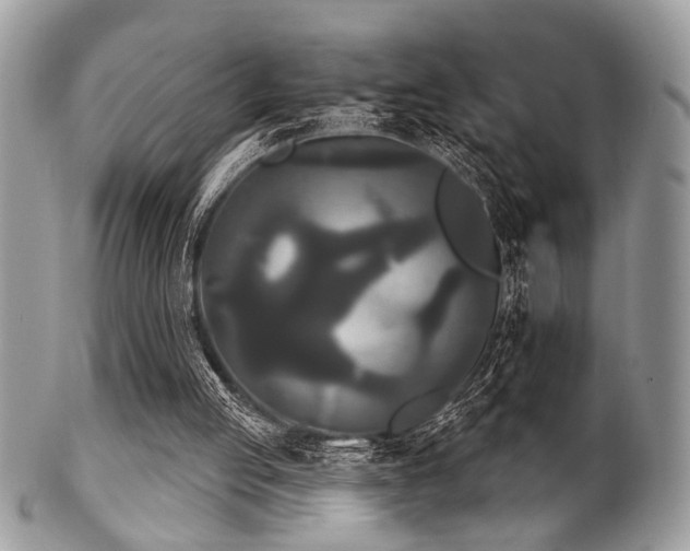 X0000102240053200807251308