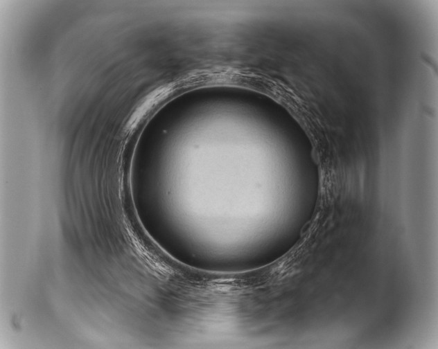 X0000102240054200807251308