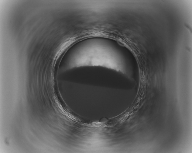 X0000102240055200807251308