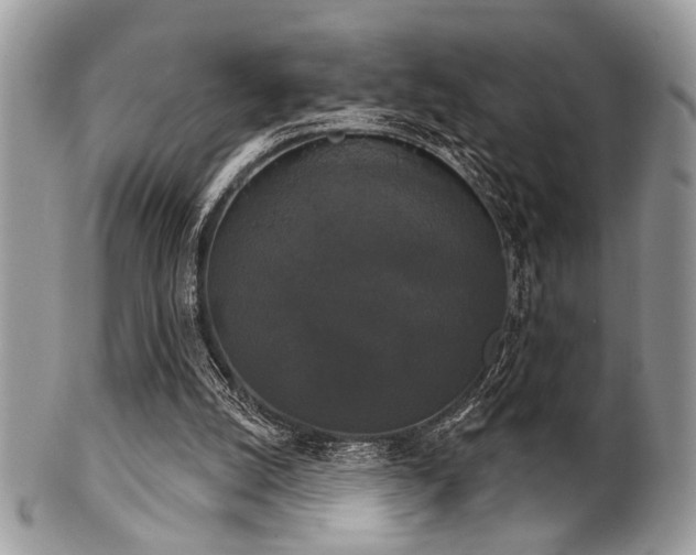 X0000102240056200807251309