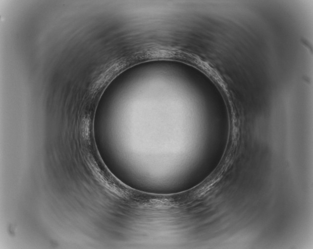 X0000102240057200807251309