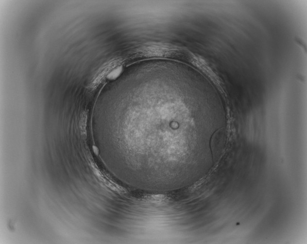 X0000102240058200807251309