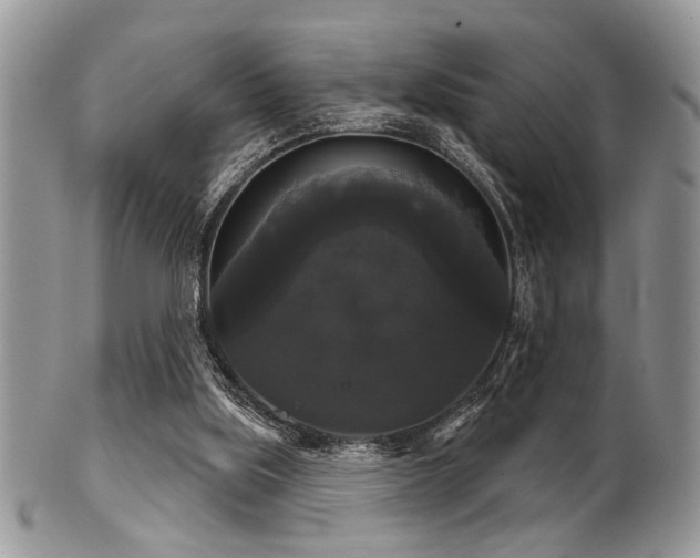 X0000102240059200807251309