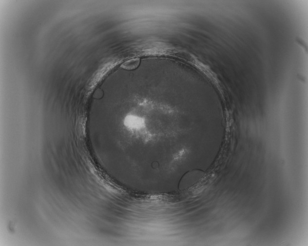 X0000102240060200807251309