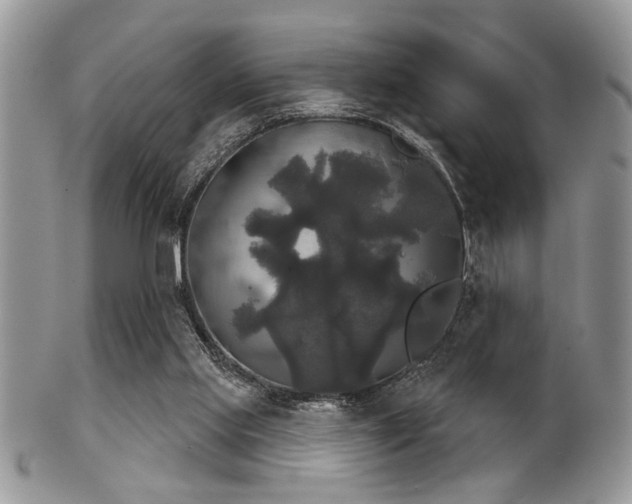 X0000102240061200807251309