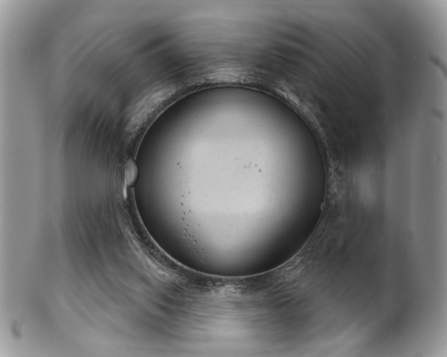 X0000102240062200807251309