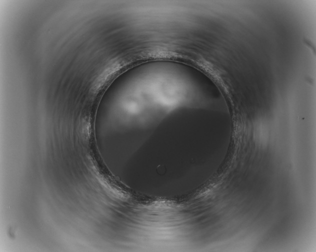 X0000102240063200807251309