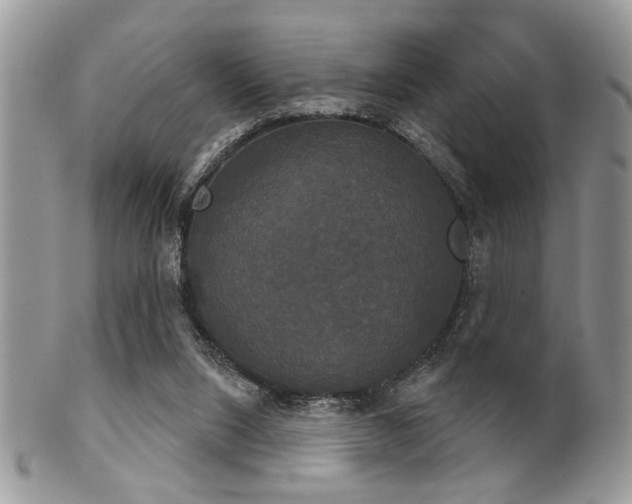 X0000102240064200807251309