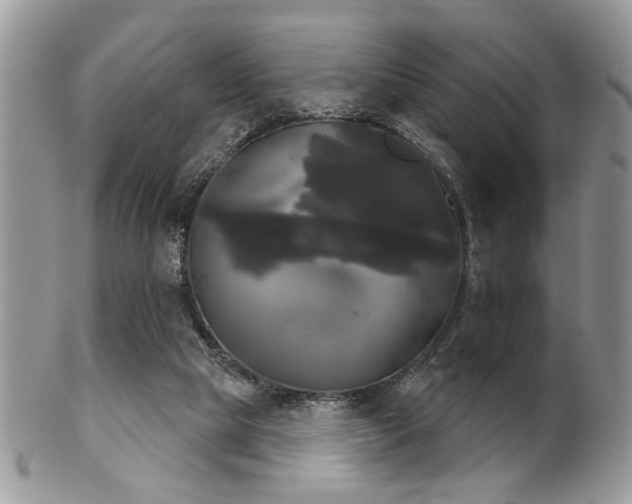 X0000102240065200807251309