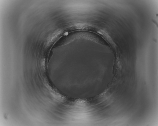 X0000102240066200807251309