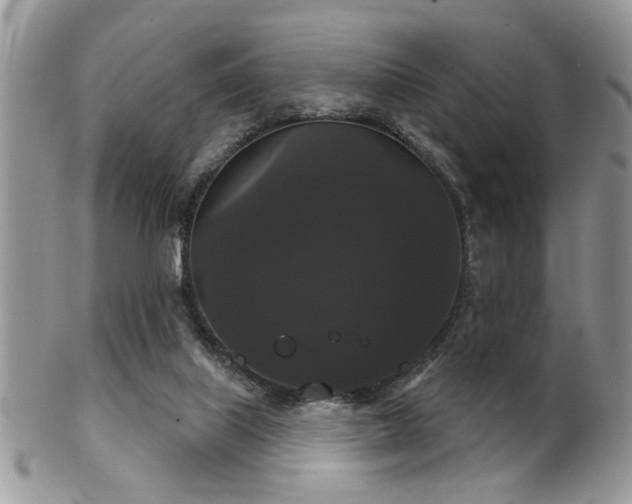 X0000102240067200807251309