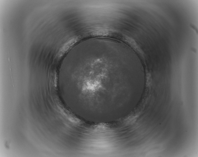 X0000102240068200807251309