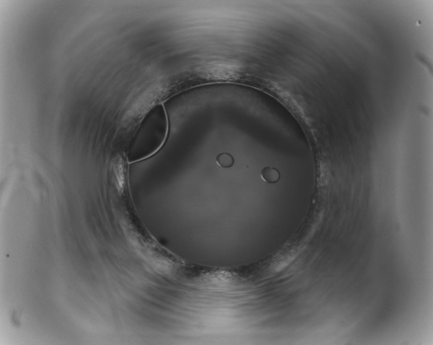 X0000102240069200807251309