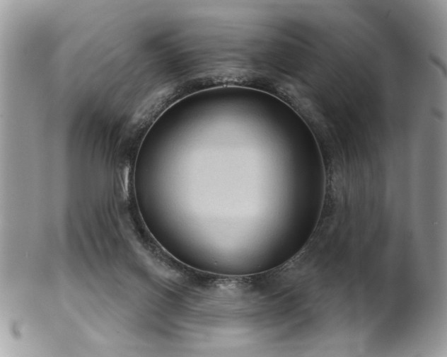 X0000102240070200807251309