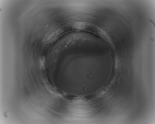 X0000102240073200807251309