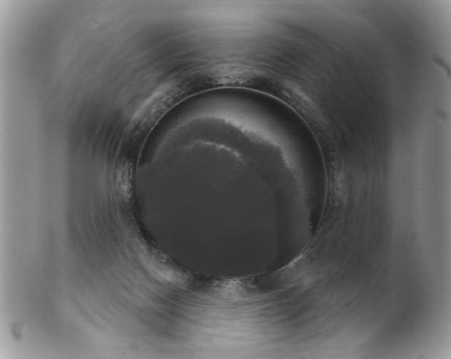 X0000102240074200807251309