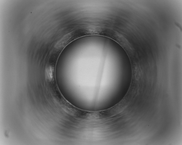 X0000102240075200807251309