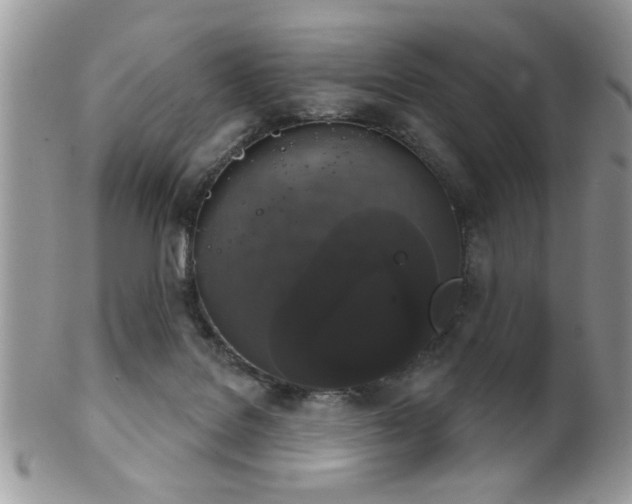 X0000102240076200807251309