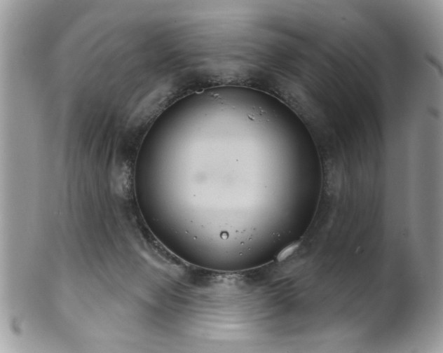 X0000102240077200807251309