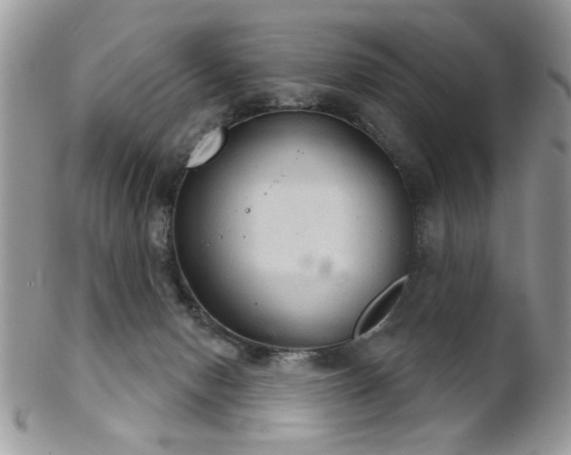 X0000102240078200807251309