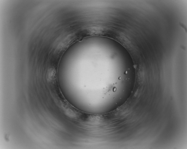 X0000102240079200807251309