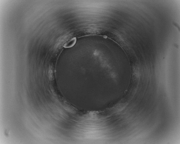 X0000102240080200807251309