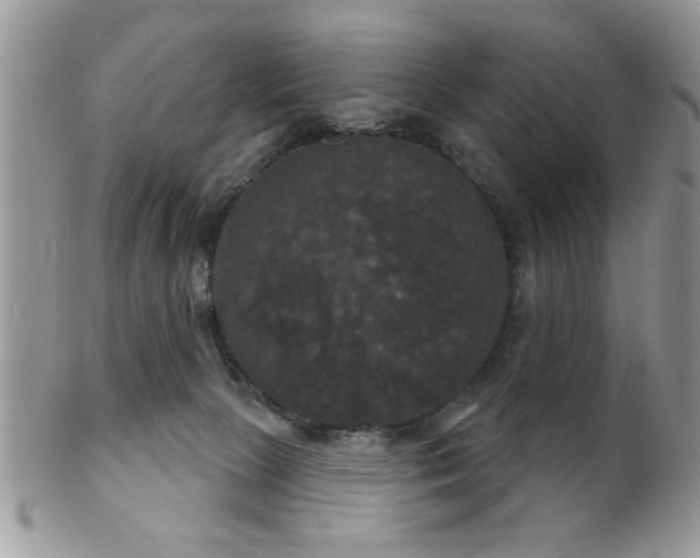 X0000102240081200807251309