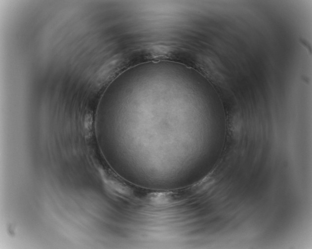 X0000102240082200807251309