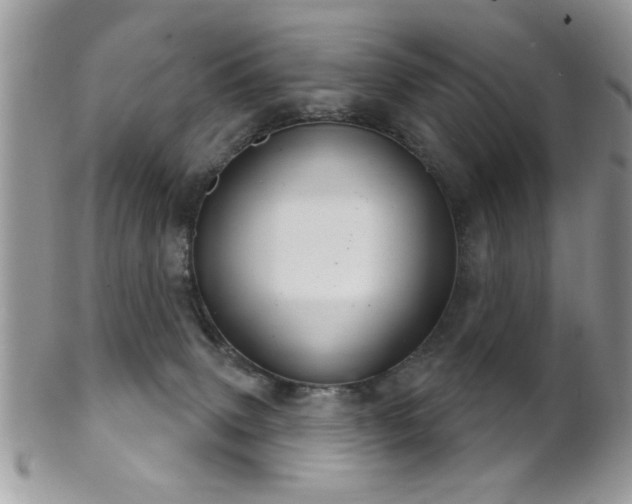 X0000102240083200807251309