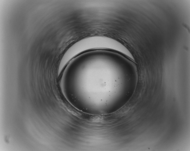 X0000102240084200807251309