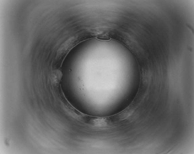 X0000102240085200807251309