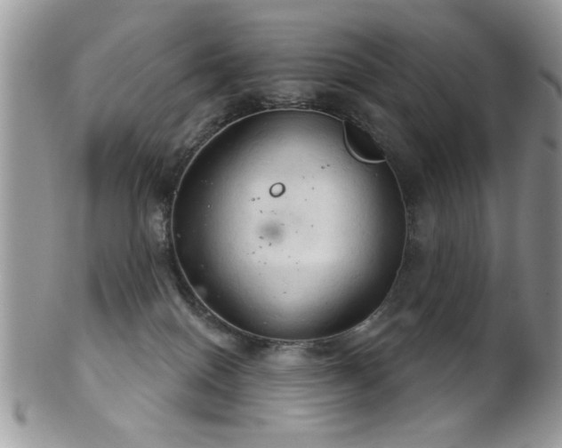 X0000102240086200807251309