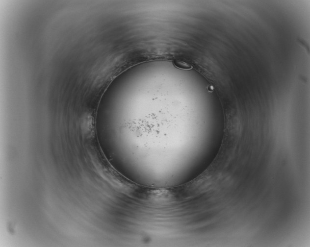 X0000102240087200807251309