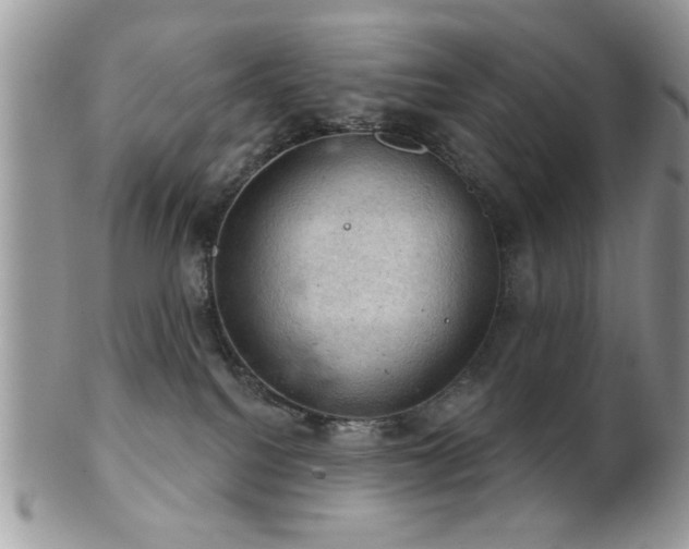 X0000102240088200807251309