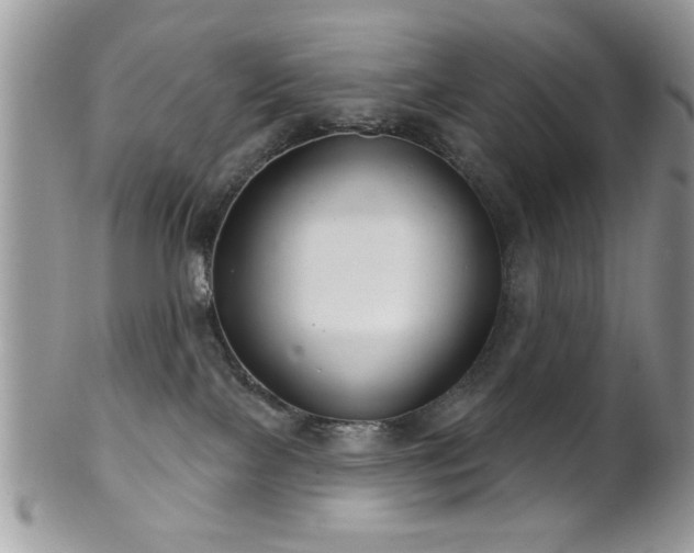 X0000102240089200807251309