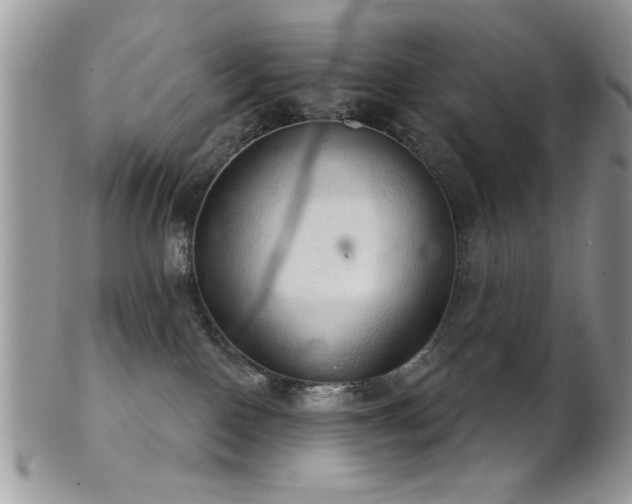 X0000102240090200807251309