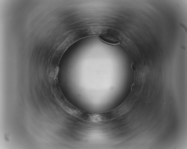 X0000102240091200807251309