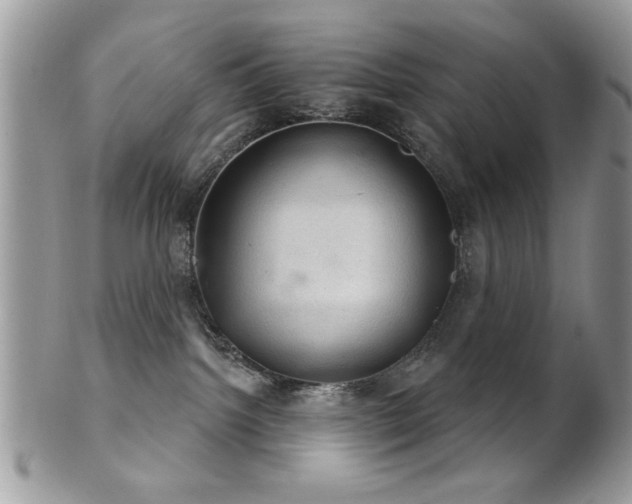 X0000102240092200807251309