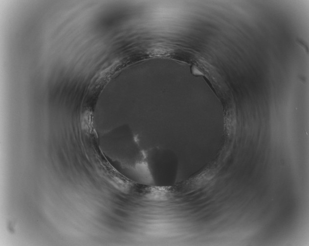 X0000102240093200807251309