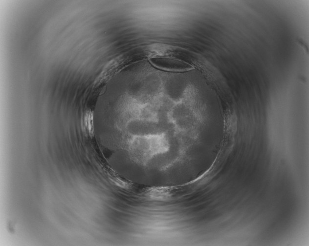 X0000102240094200807251309