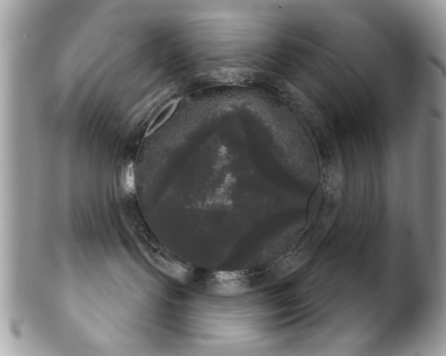 X0000102240095200807251309